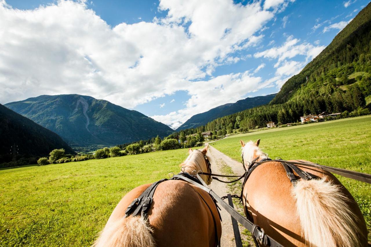 Hotel Fronza - Your Hike & Mountain Home Lutago Eksteriør billede